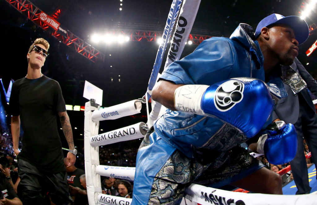 blue reebok boxing shoes