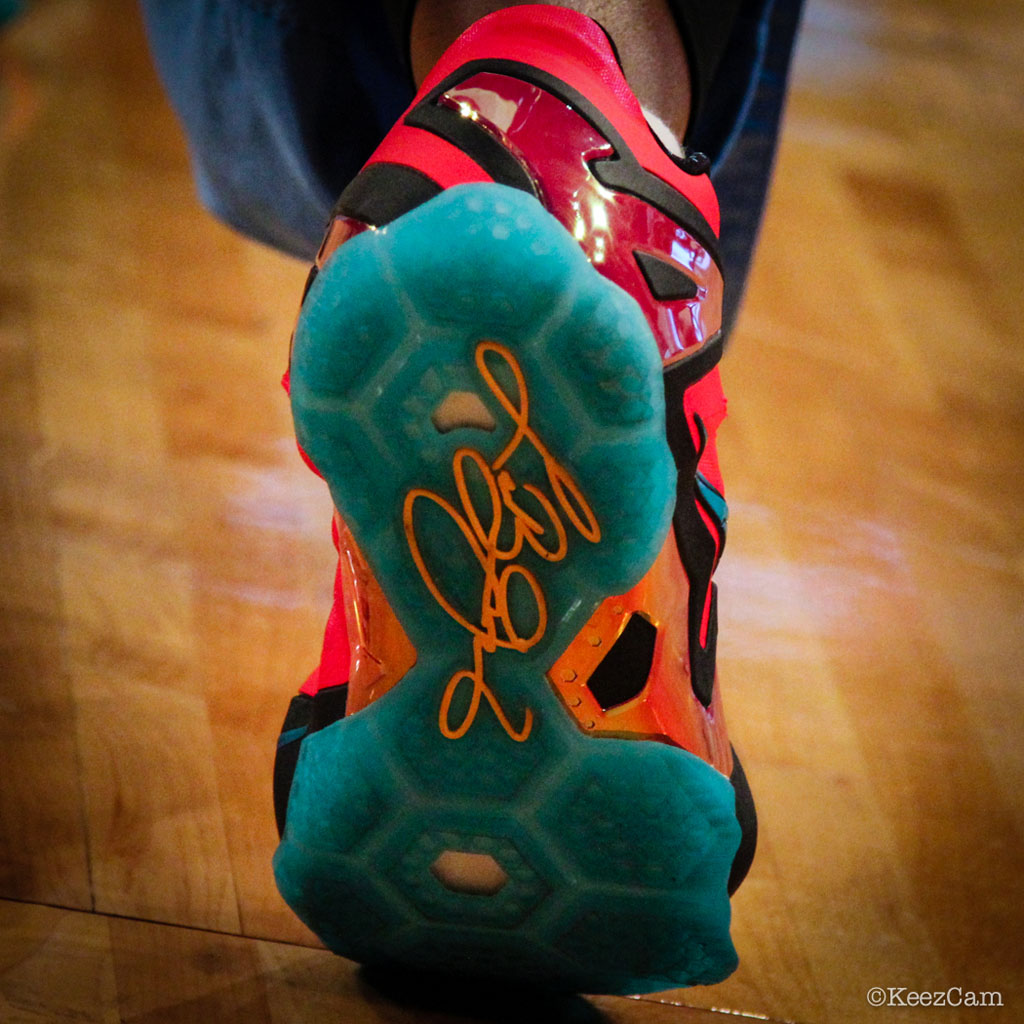 Swin Cash wearing Nike LeBron XI 11 Elite Hero (4)