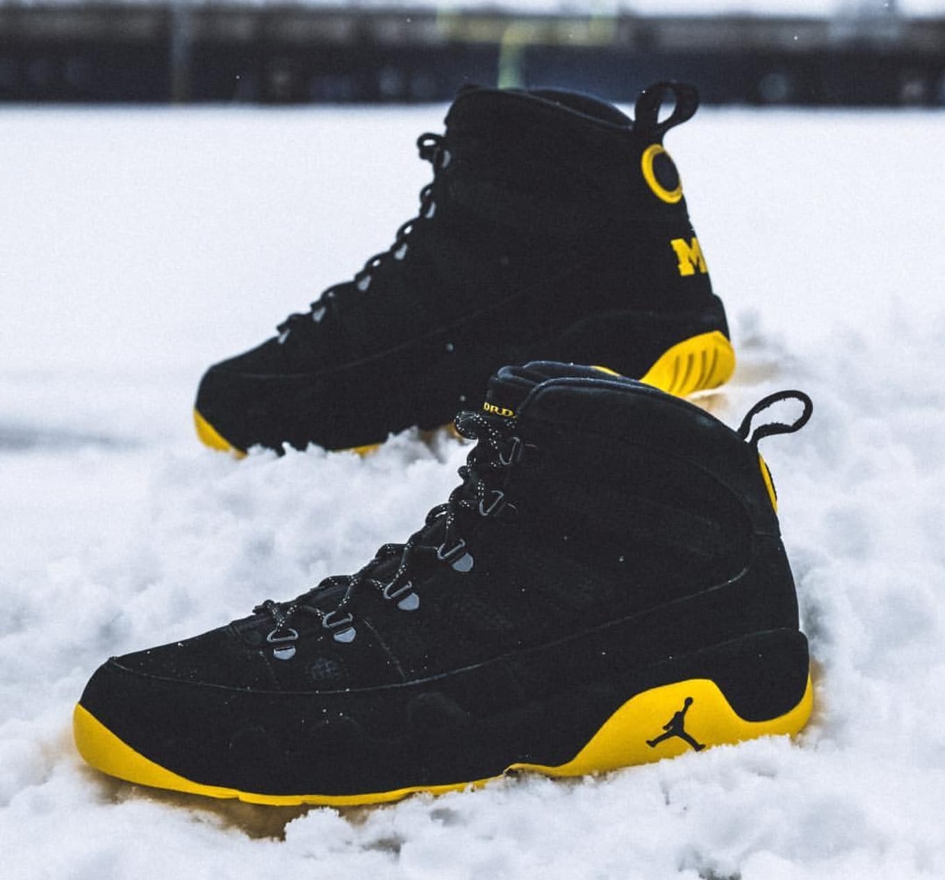 michigan jordan 9