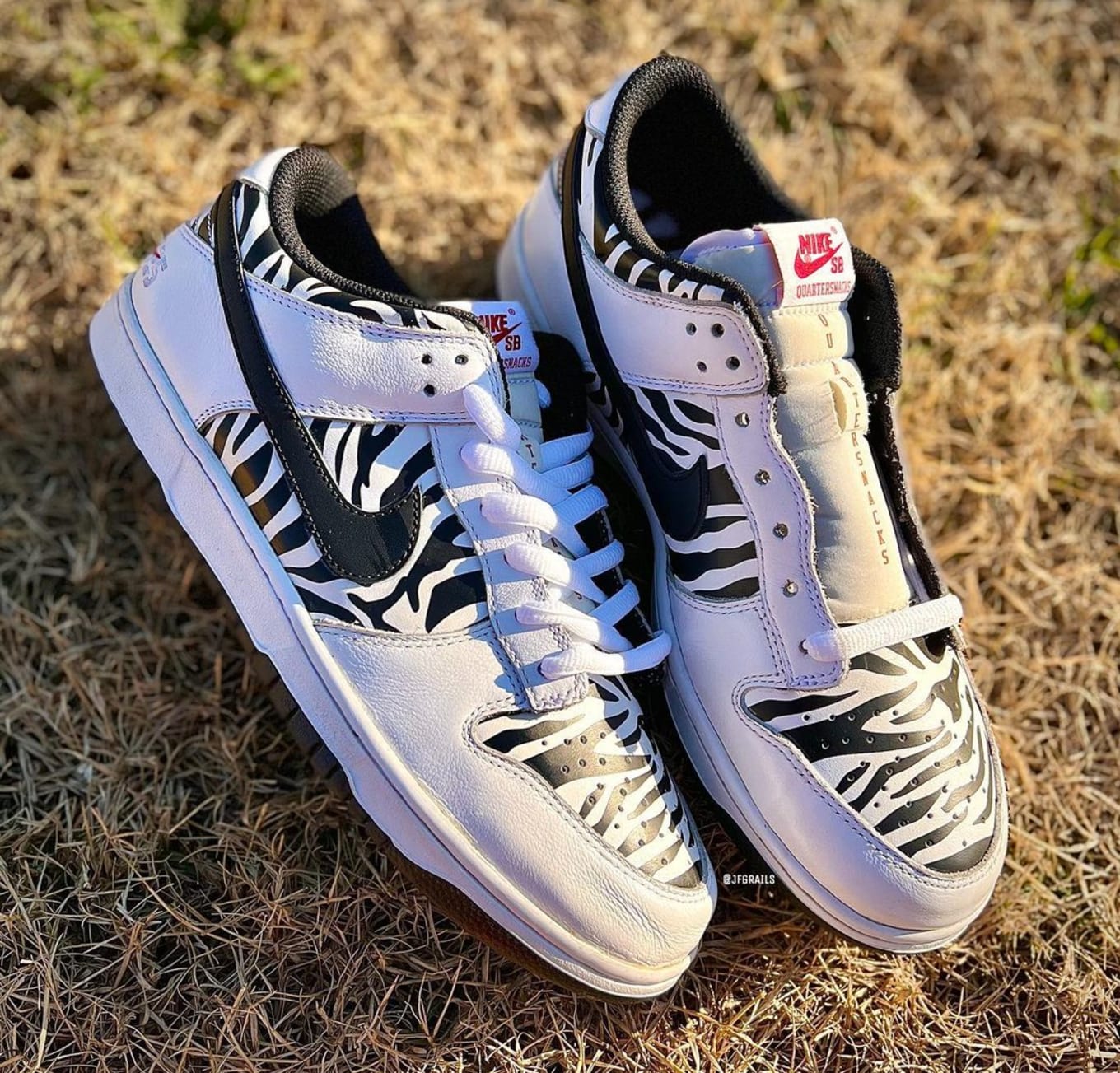 Low zebra dunk Nike Sneakers