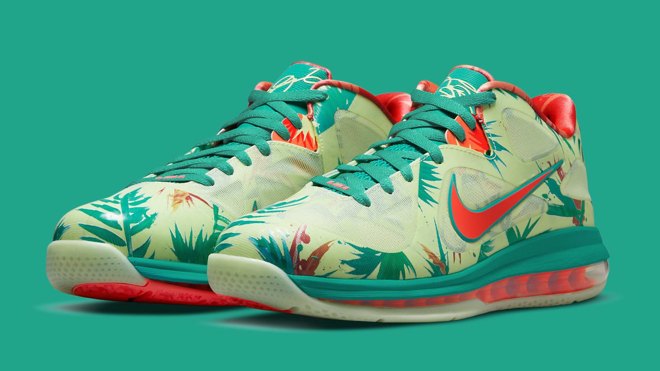 Lebron james expensive shoes shop