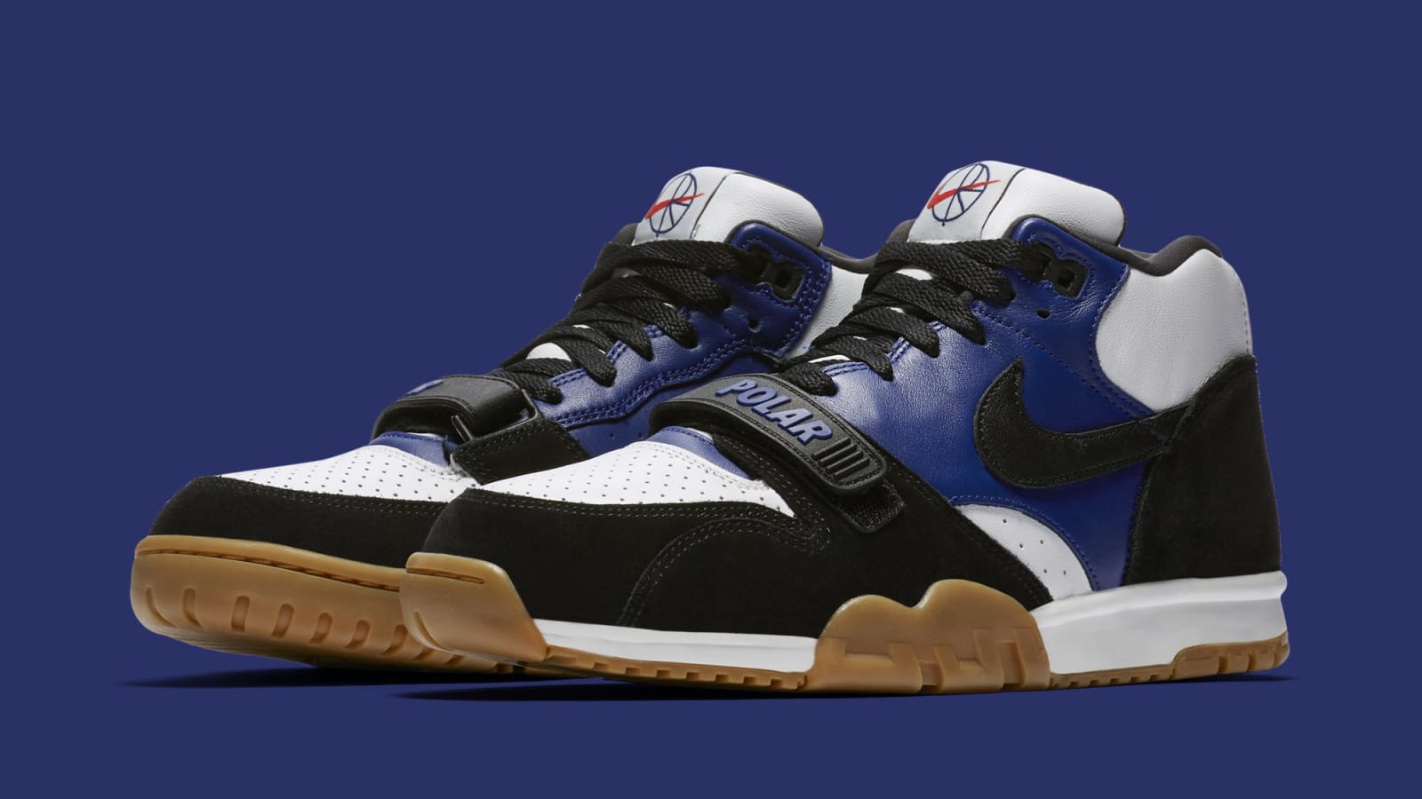 polar skate co x nike sb air trainer 1