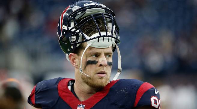 Houston Texans Sole Collector