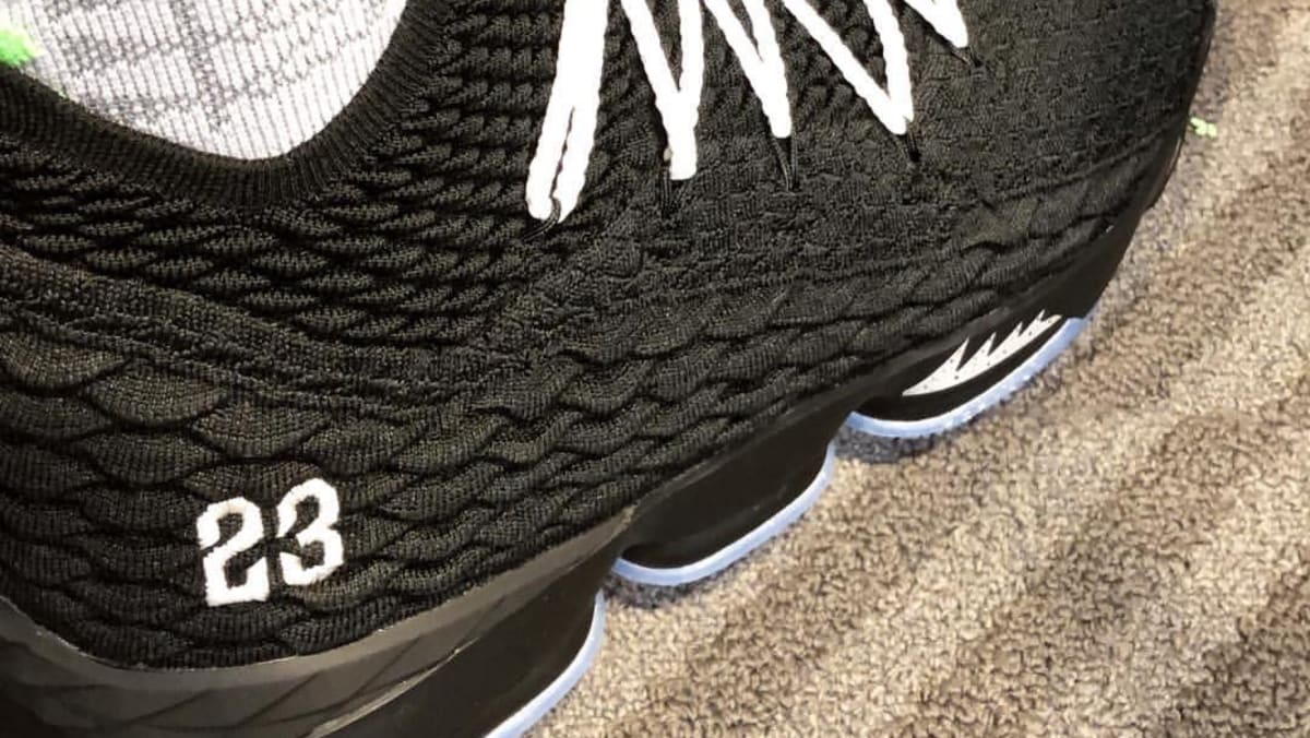 jordan lebron shoes