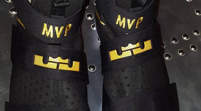 lebron soldier 10 id