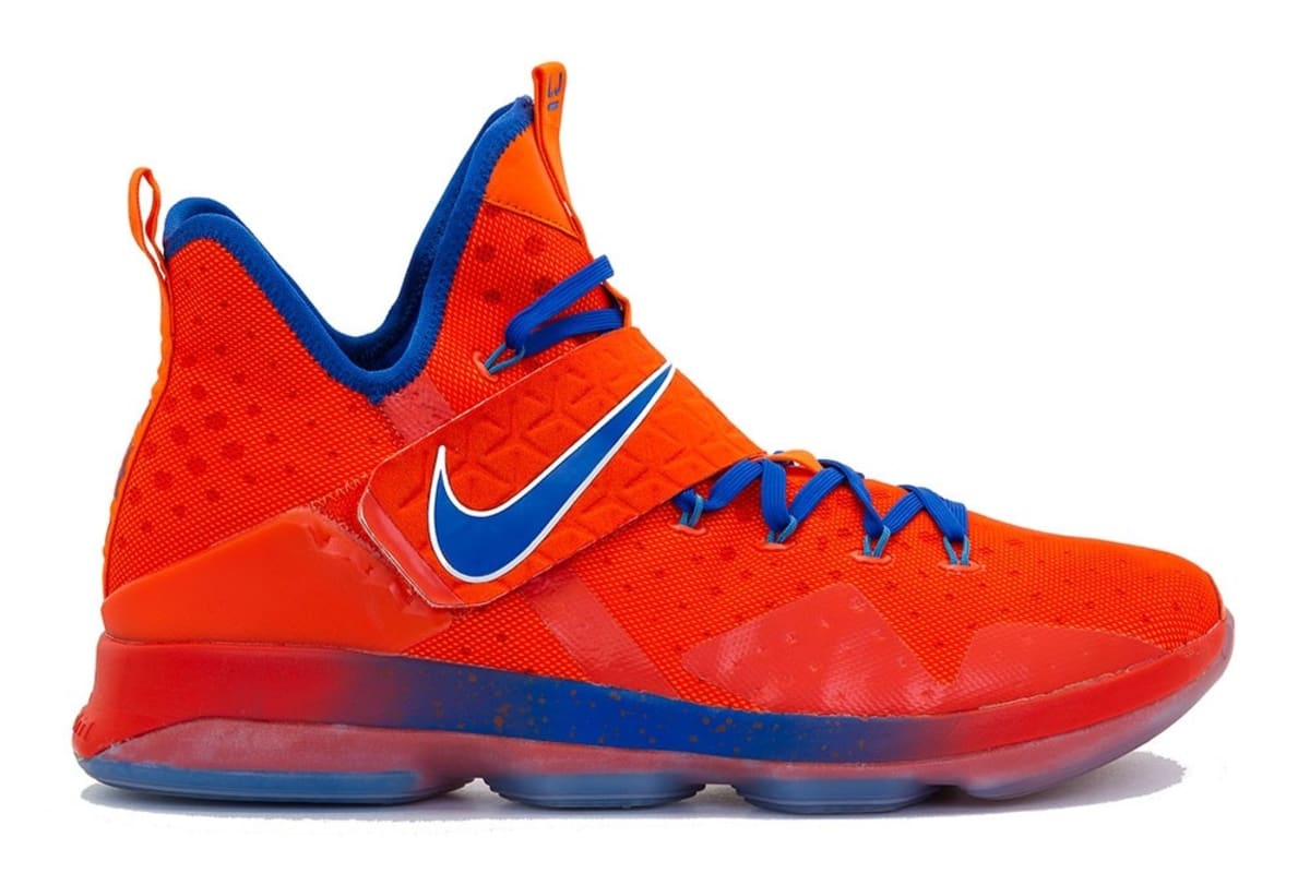 lebron worn shoes