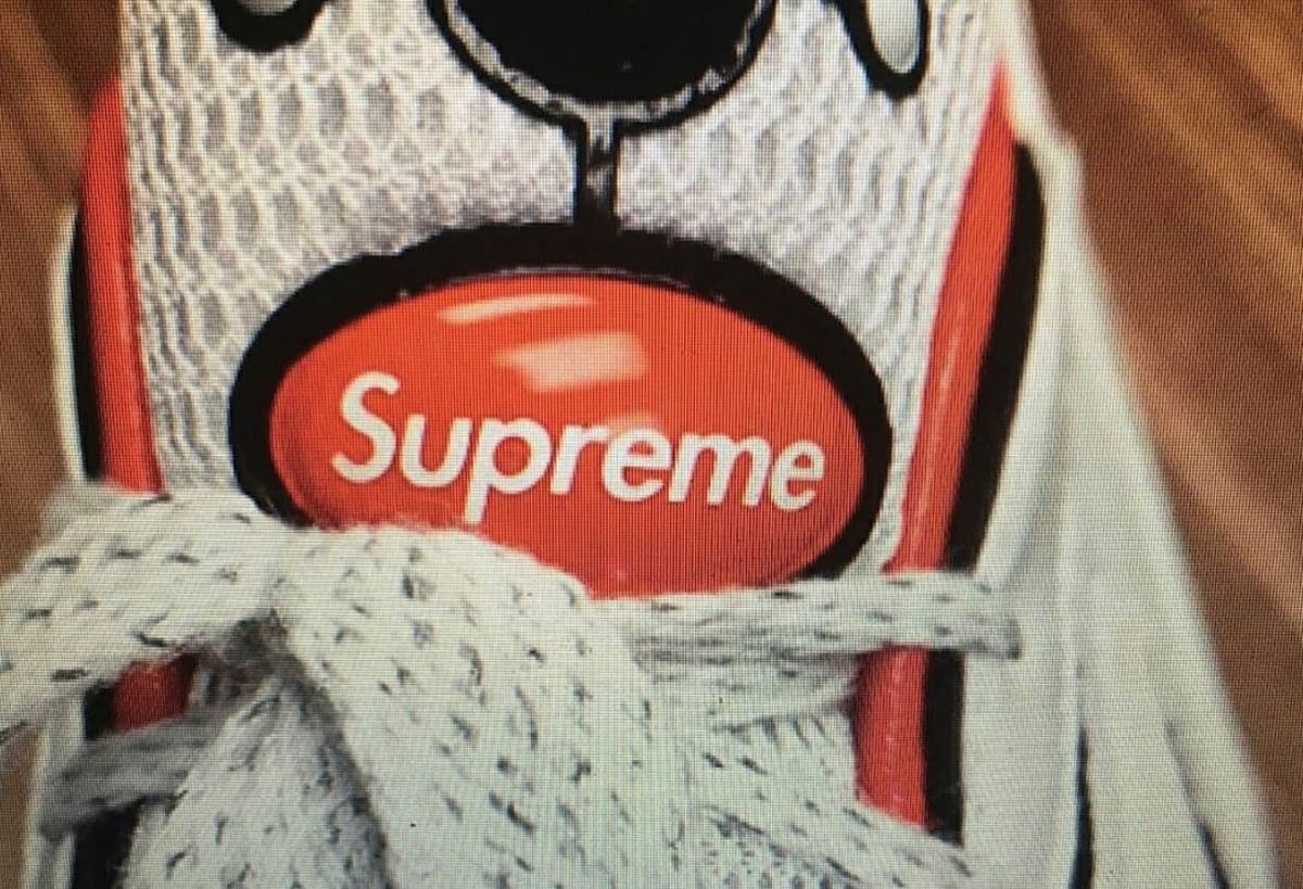 Supreme x Nike Air Streak Spectrum Plus | Sole Collector