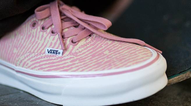 next mens vans