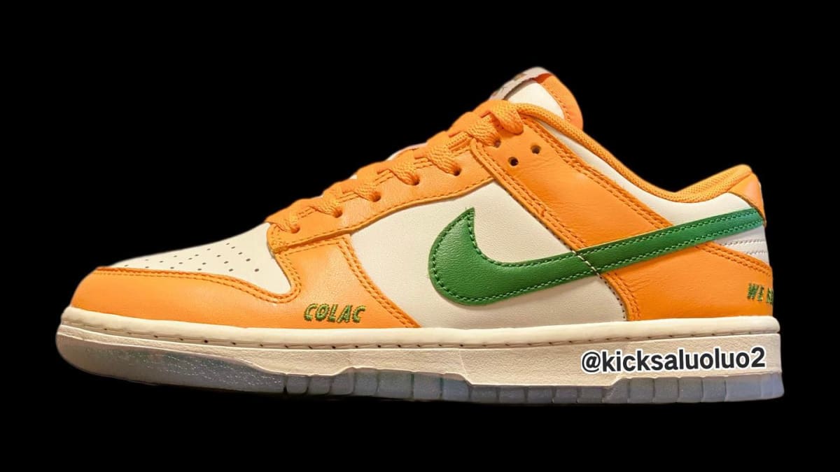 Florida A&M X Nike Dunk Low Collab Release Date 2022