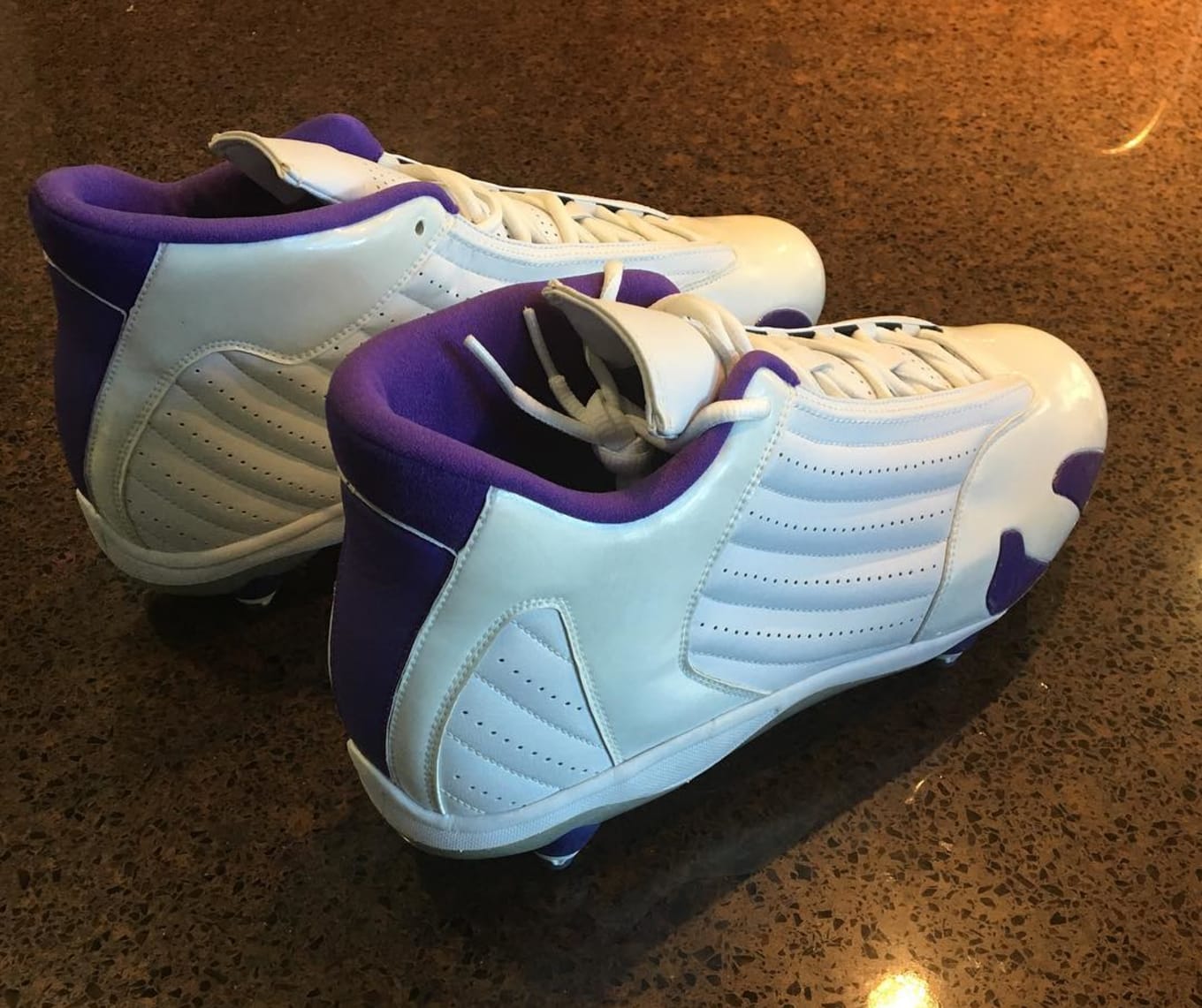 jordan 14 purple and white