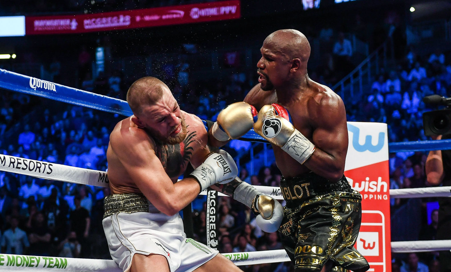 reebok mayweather boxing shoes