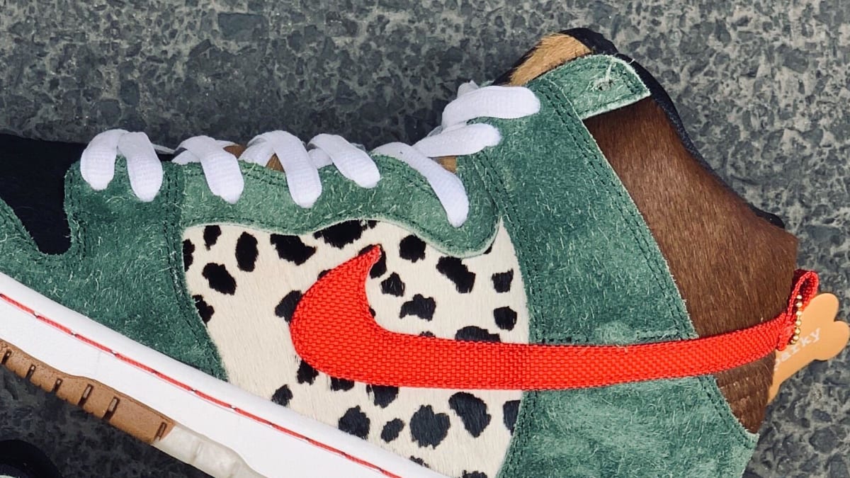 nike sb dog walker on feet