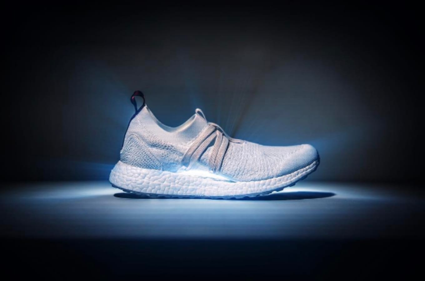 Parley X Stella Mccartney X Adidas Ultra Boost X Sole Collector