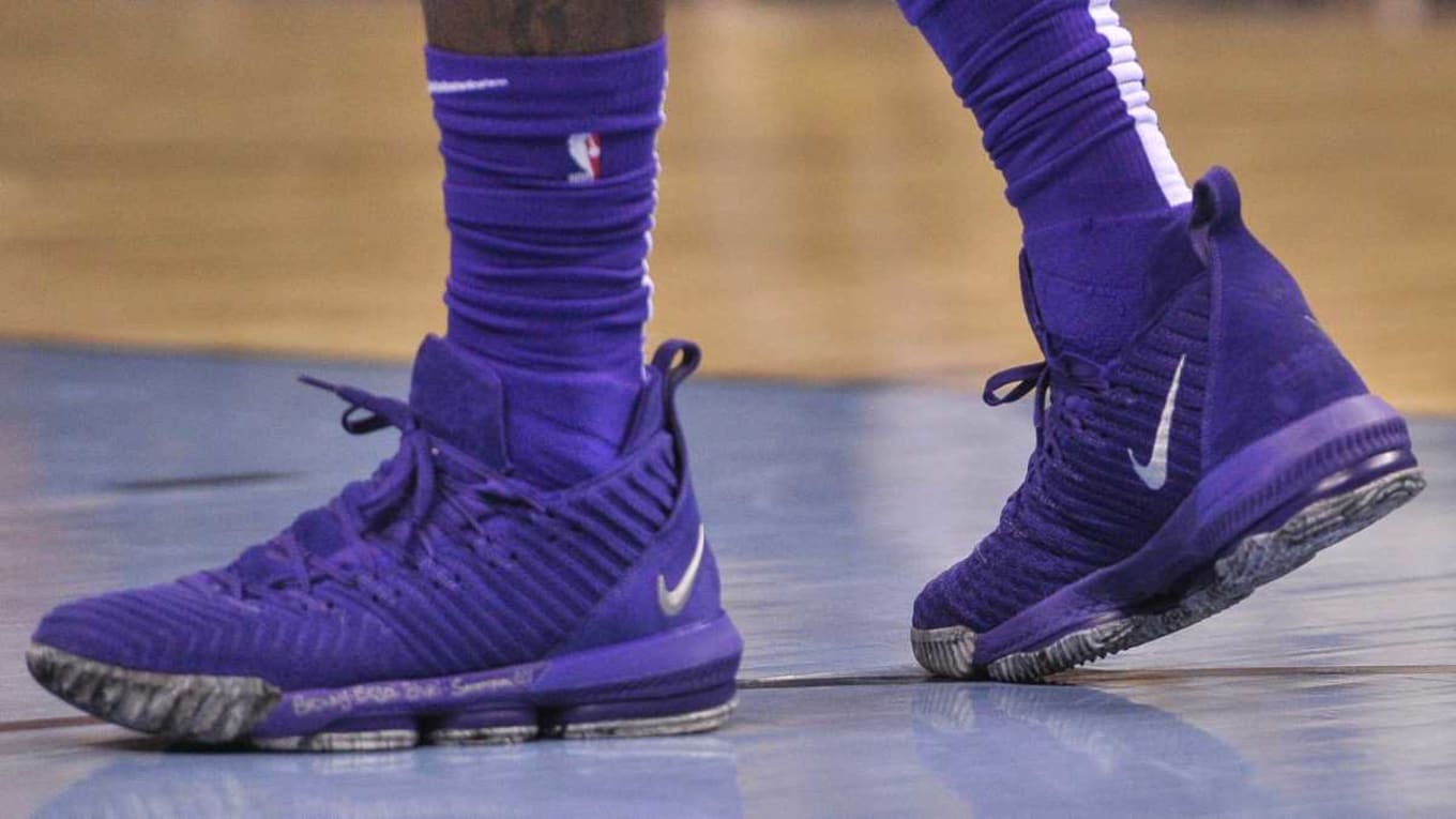 LeBron James Sneaker 2018-2019 Season