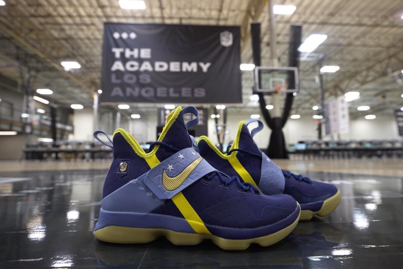 academy lebron shoes