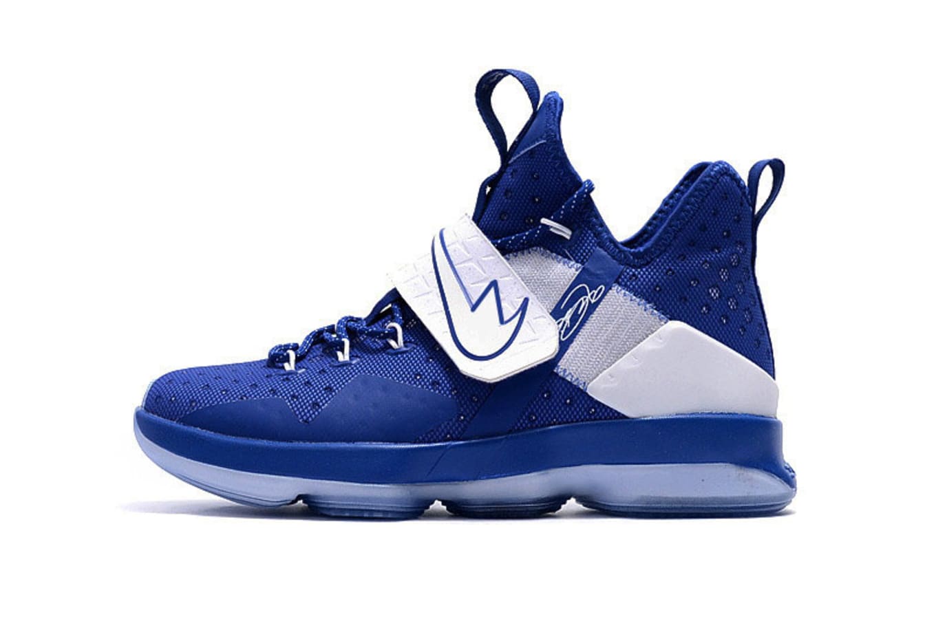 fake lebron
