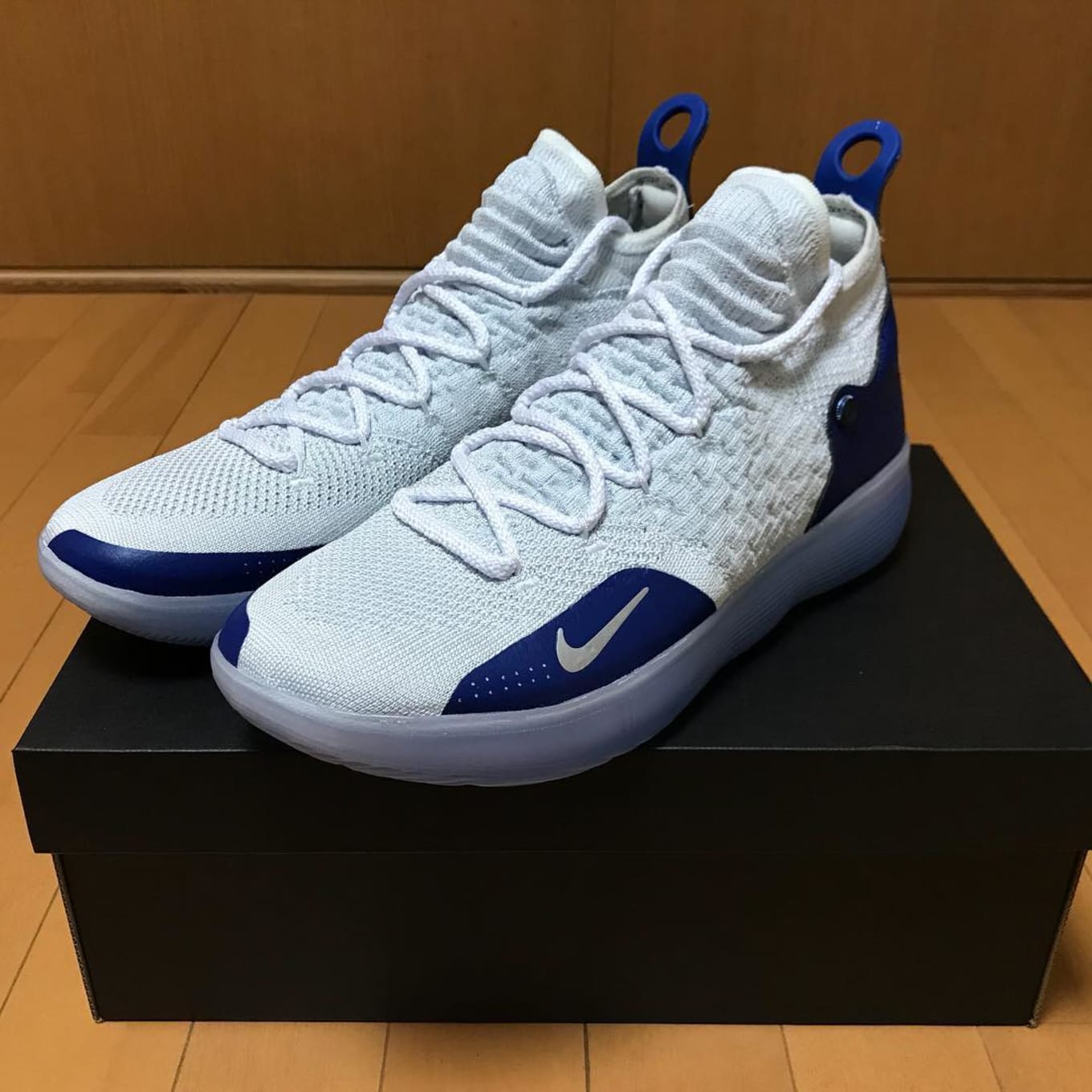 kd 11 blue and white