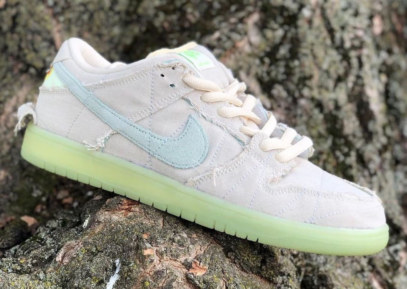 New nike sbs hotsell