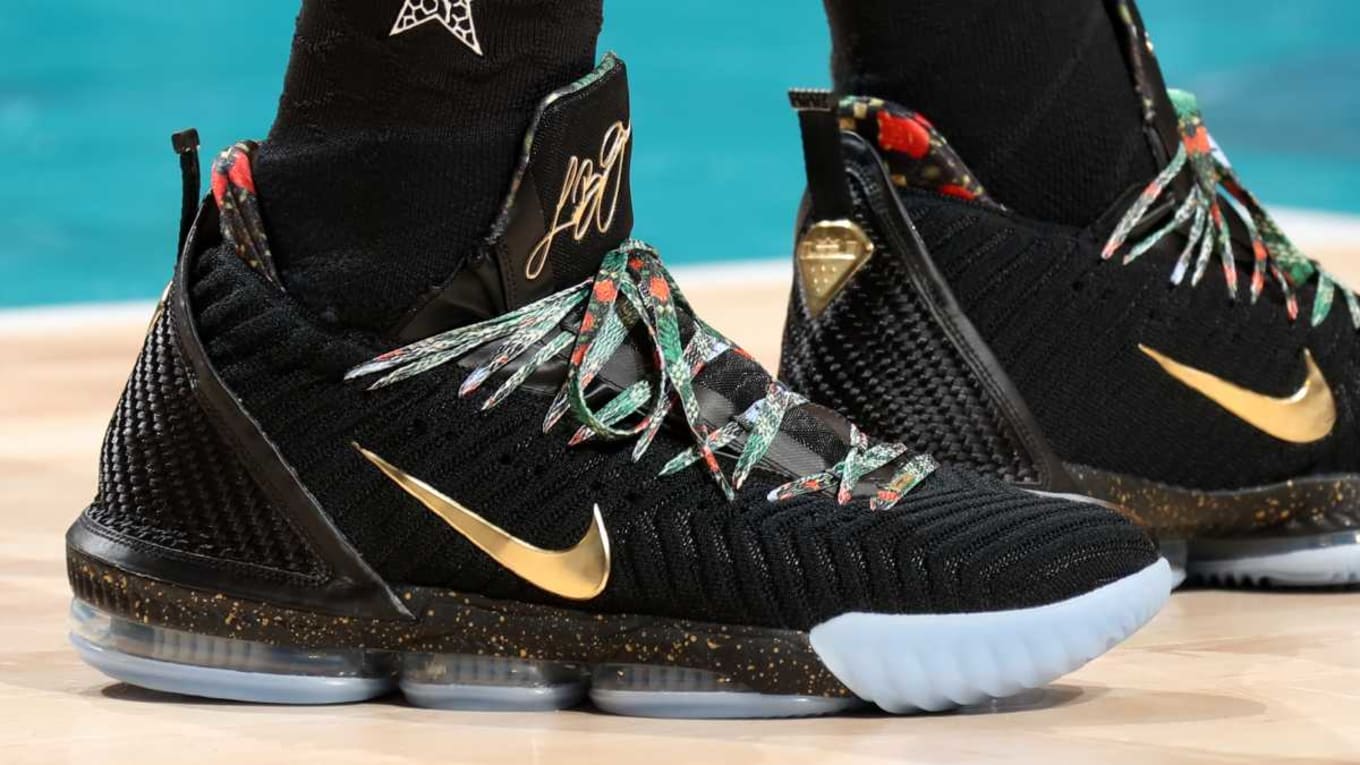 LeBron James Sneaker 2018-2019 Season
