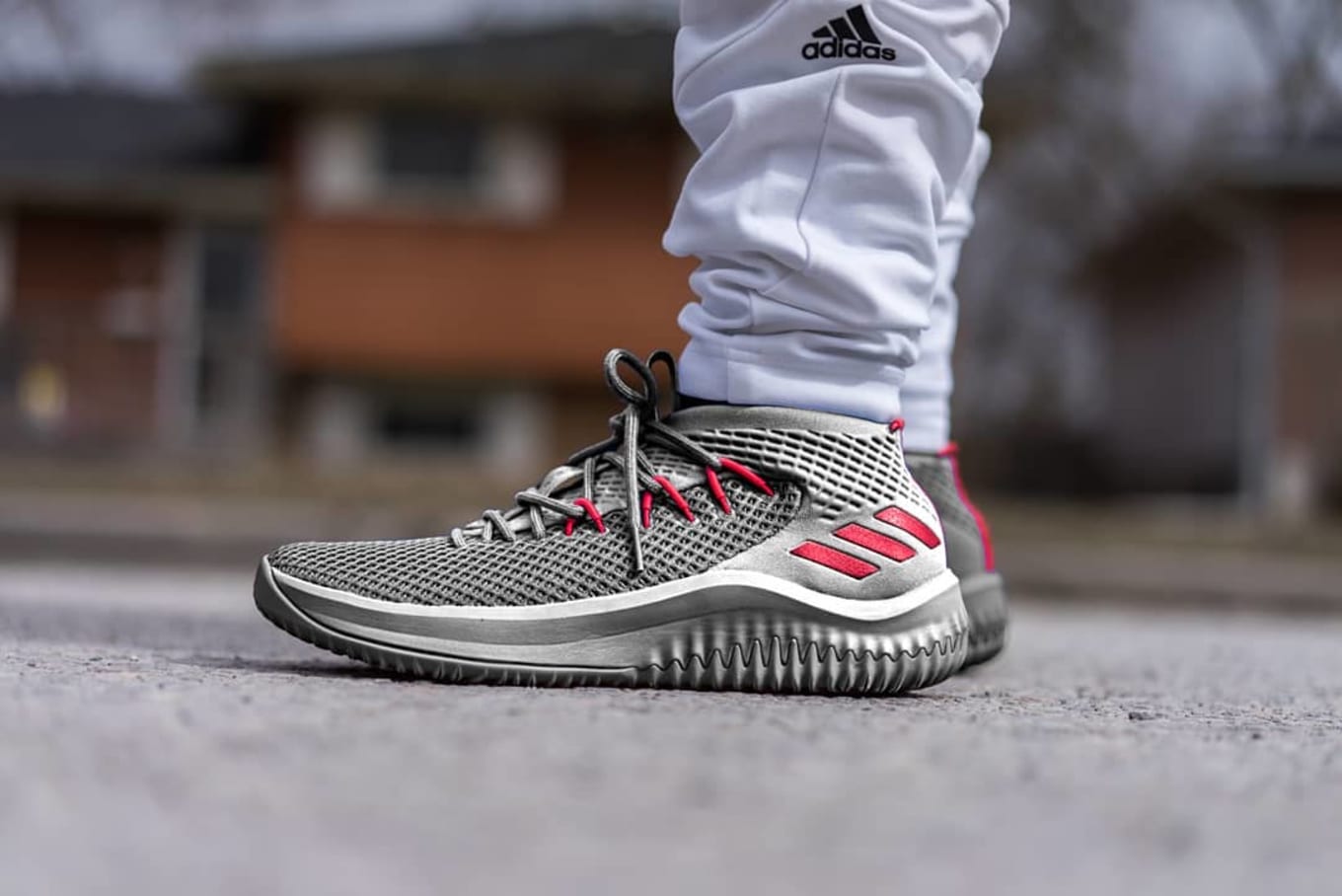 dame 4 low