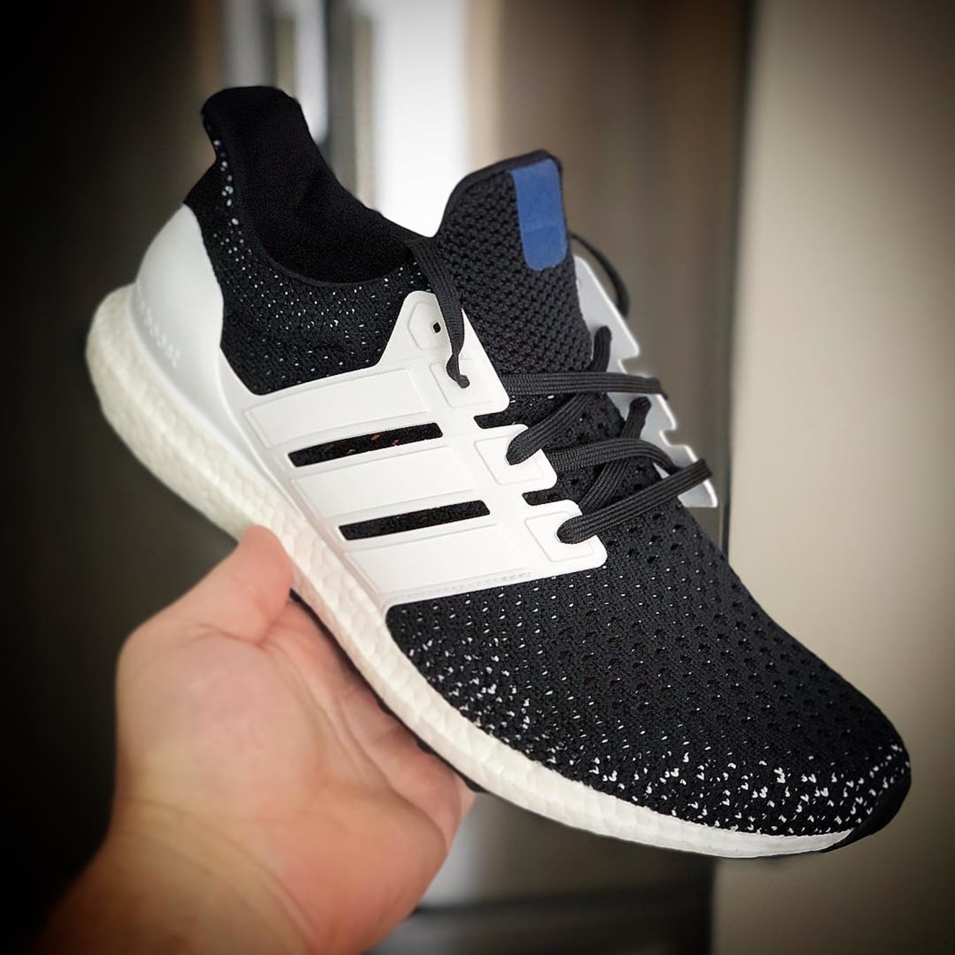 Arena marriage biography Miadidas Ultra Boost Clima Store, 55% OFF | lavarockrestaurant.com