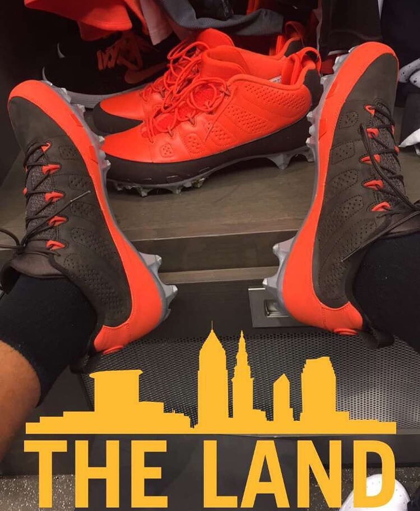 Joe Haden Air Jordan 9 Low Browns 