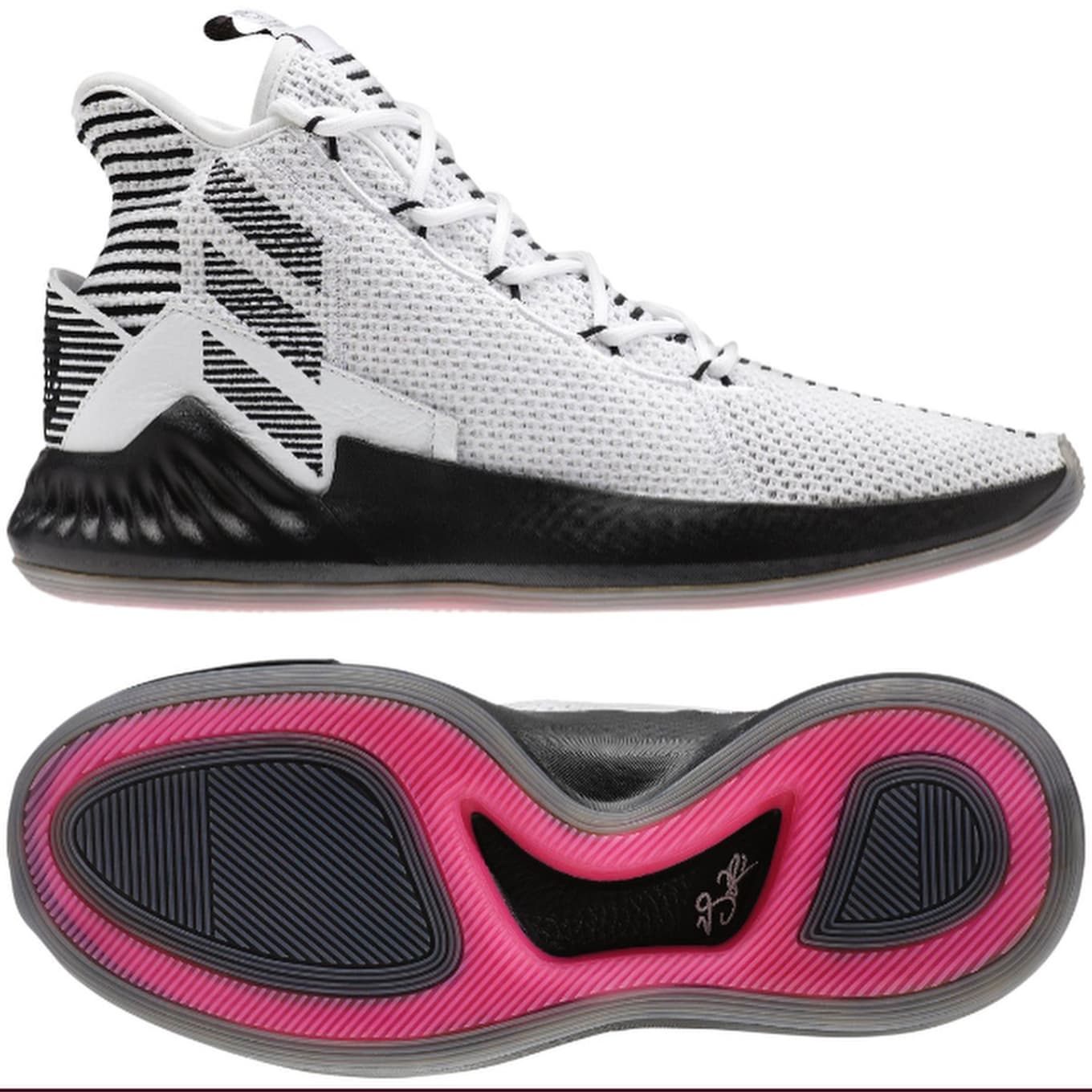 d rose 9 black and white