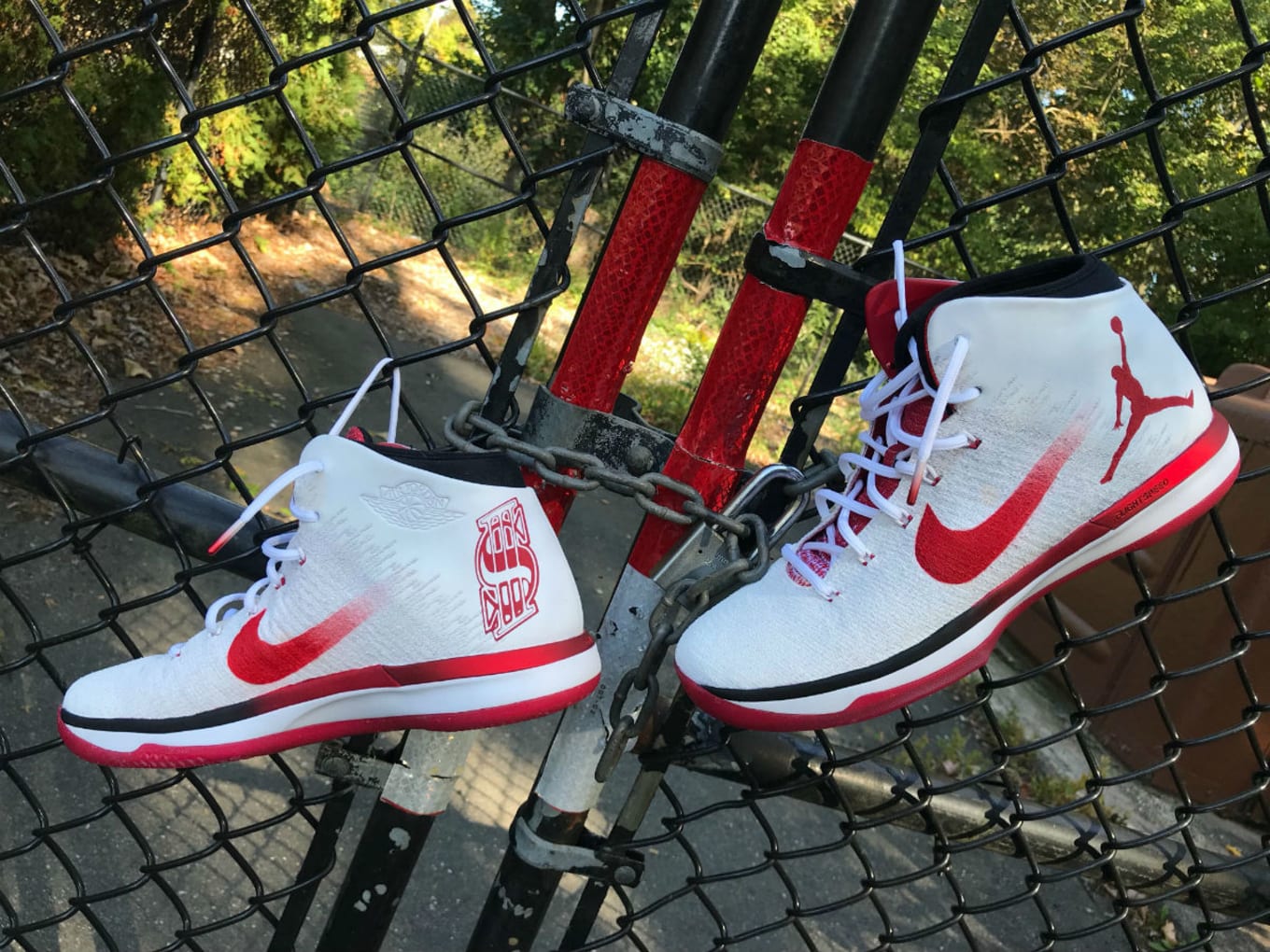 Shane McMahon Air Jordan 31 Red Wings