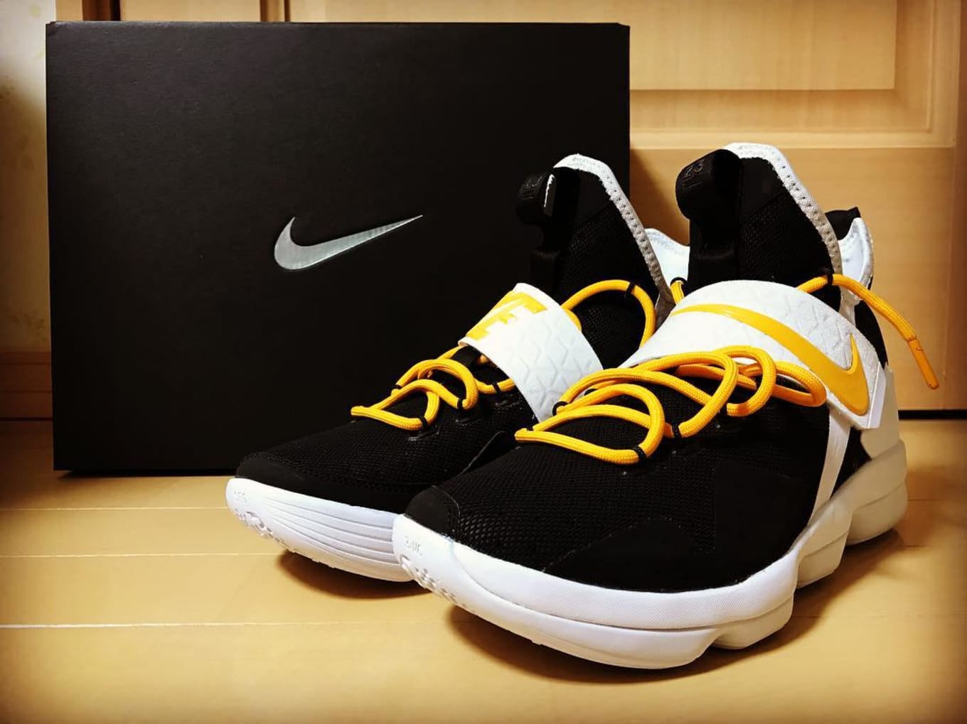 Custom lebron 14
