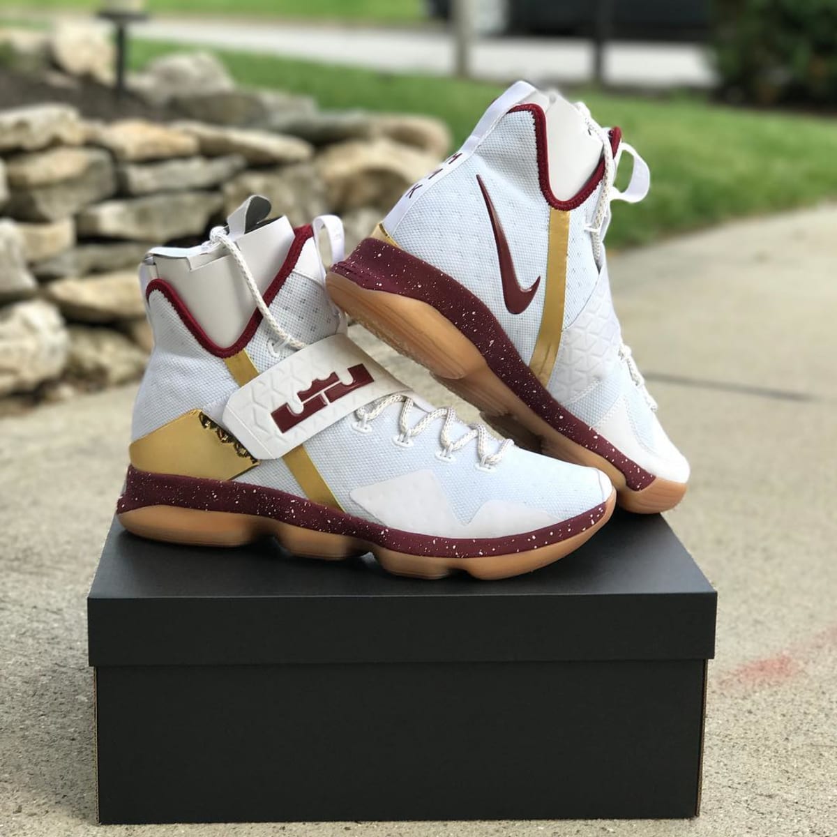 lebron14