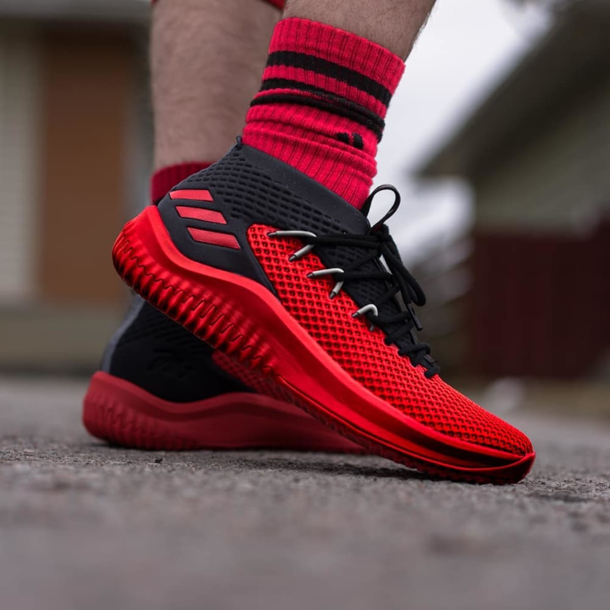 dame 4 low