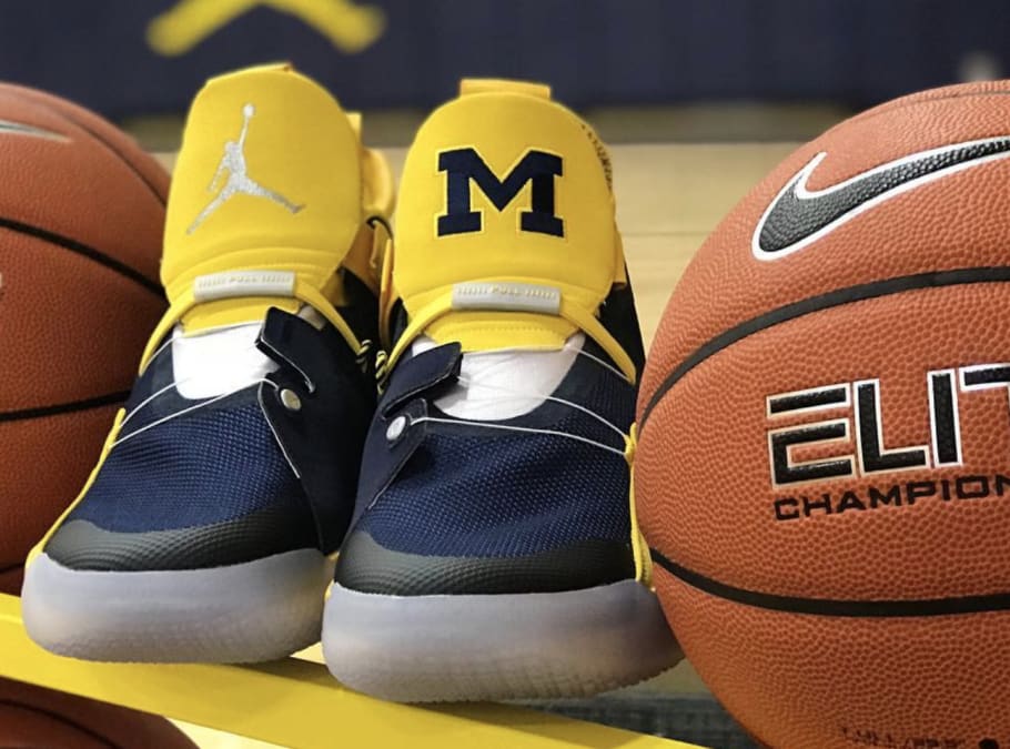 michigan jordan 33