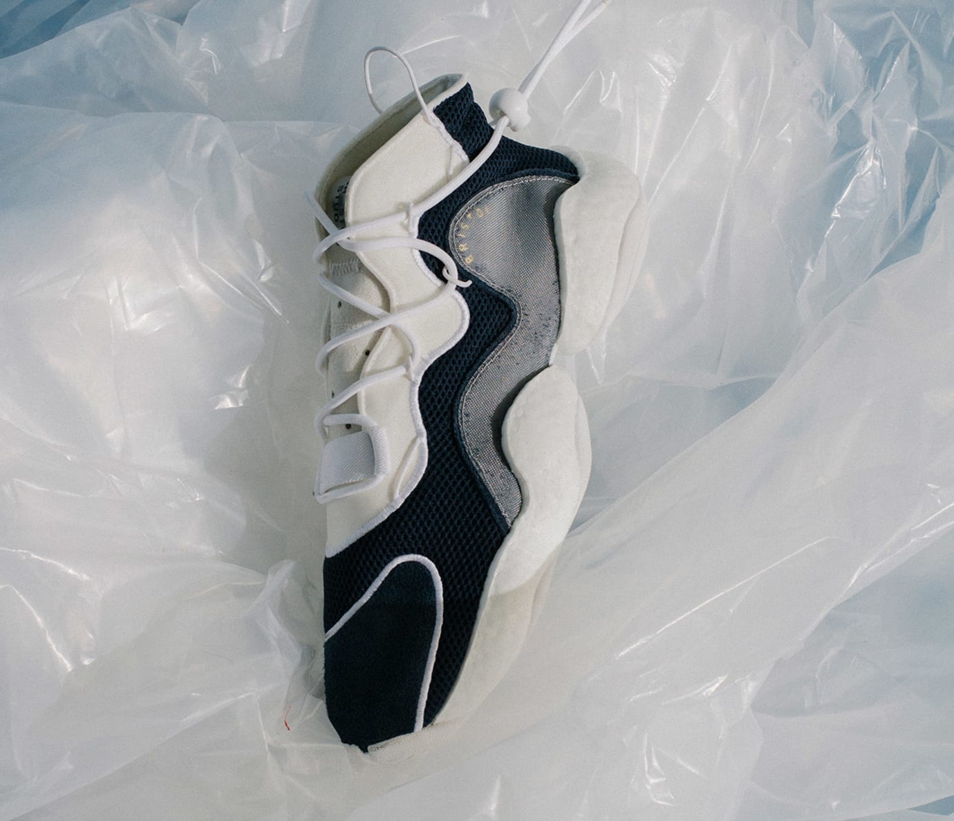 bristol crazy byw lvl ii