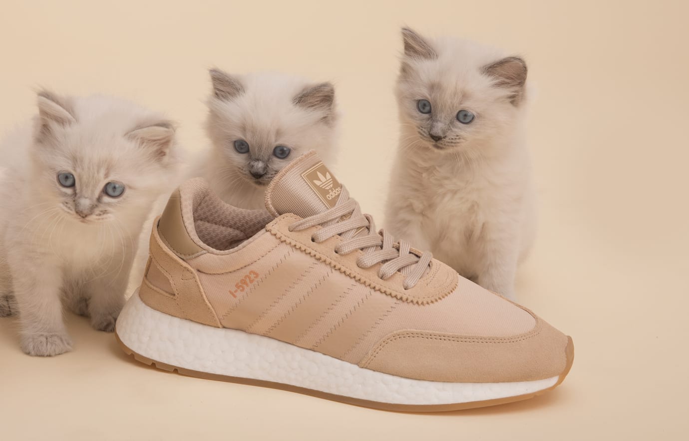 adidas i 5923 nude