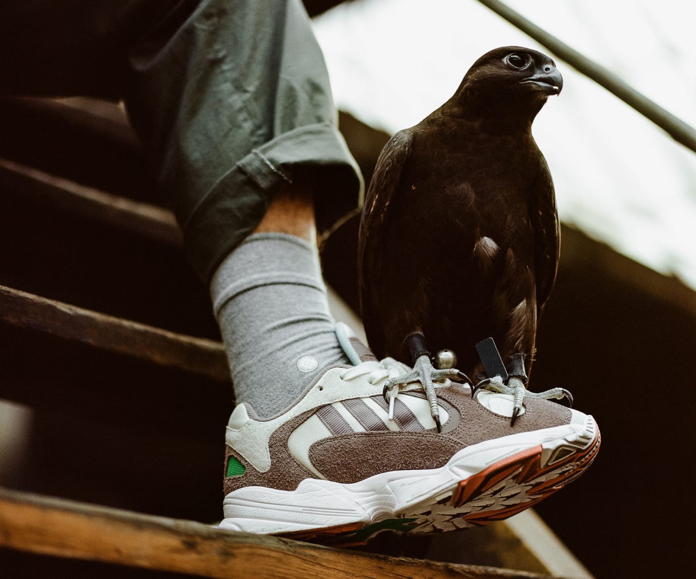 solebox x yung 1