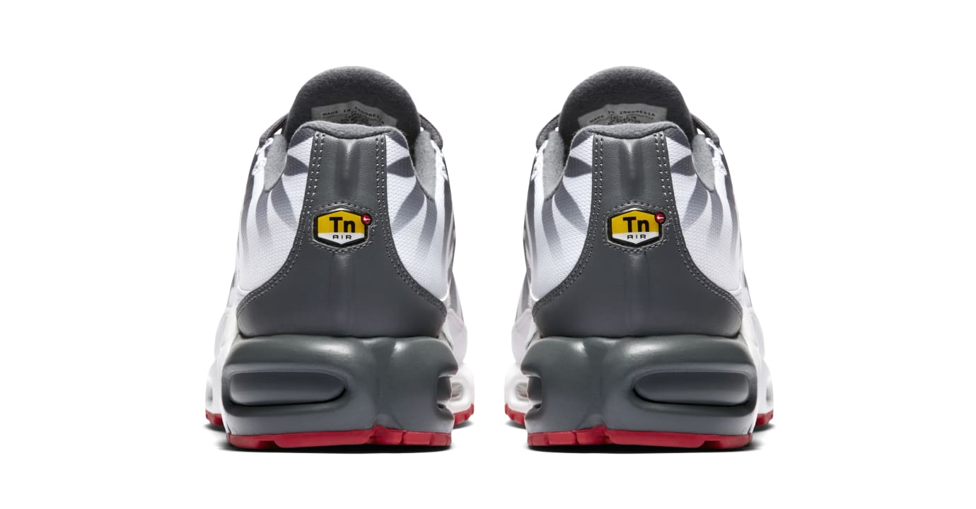 Shark bite tns clearance