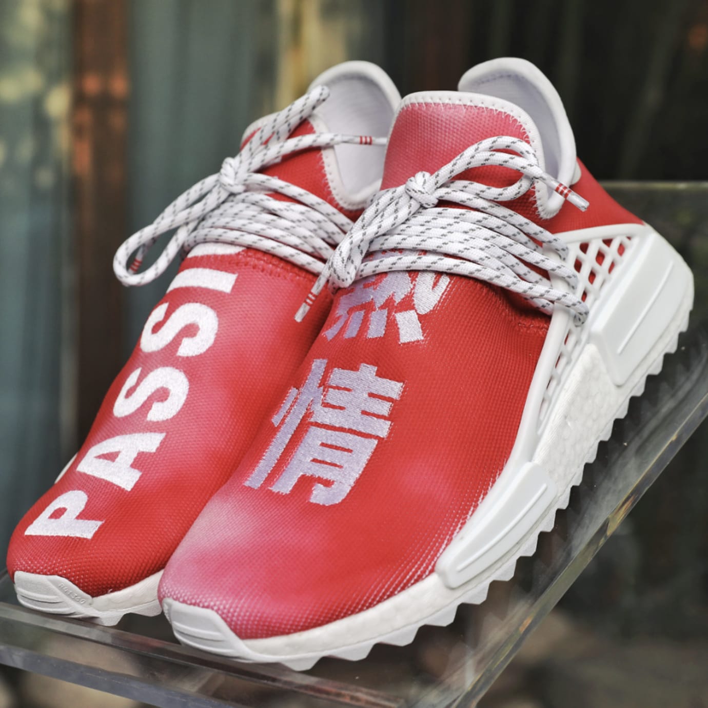 human race passion