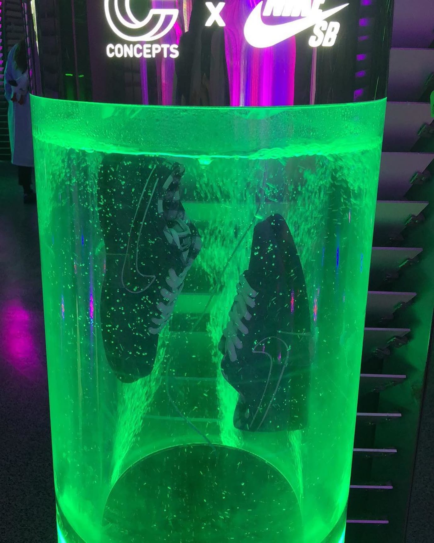green lobster sb special box