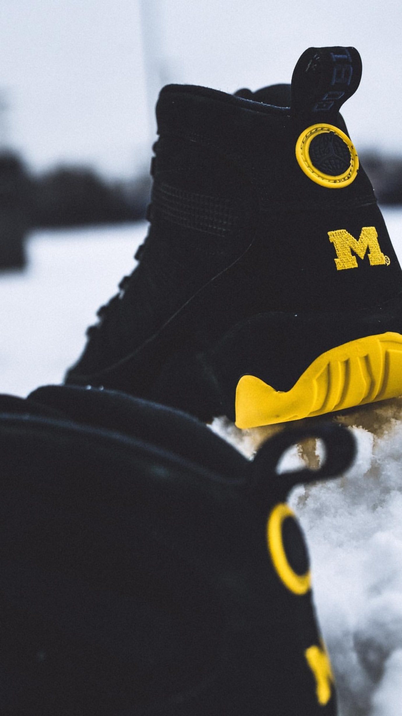 Michigan Air Jordan 9 Boot Sole Collector