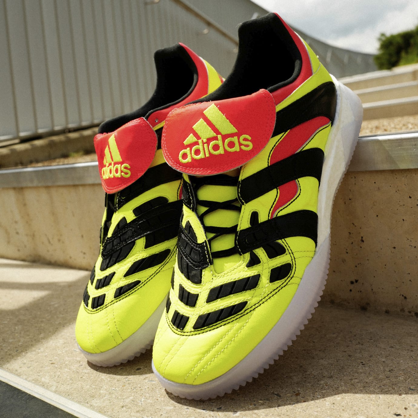 Adidas predator accelerator trainer top