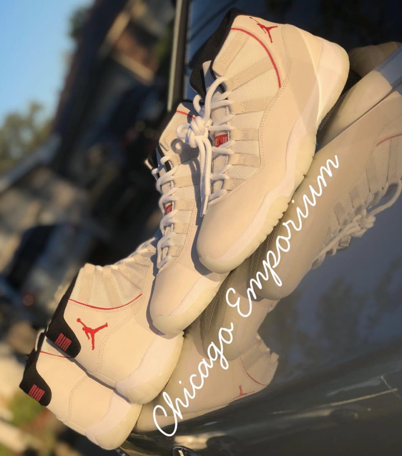 jordan 11 tint on feet