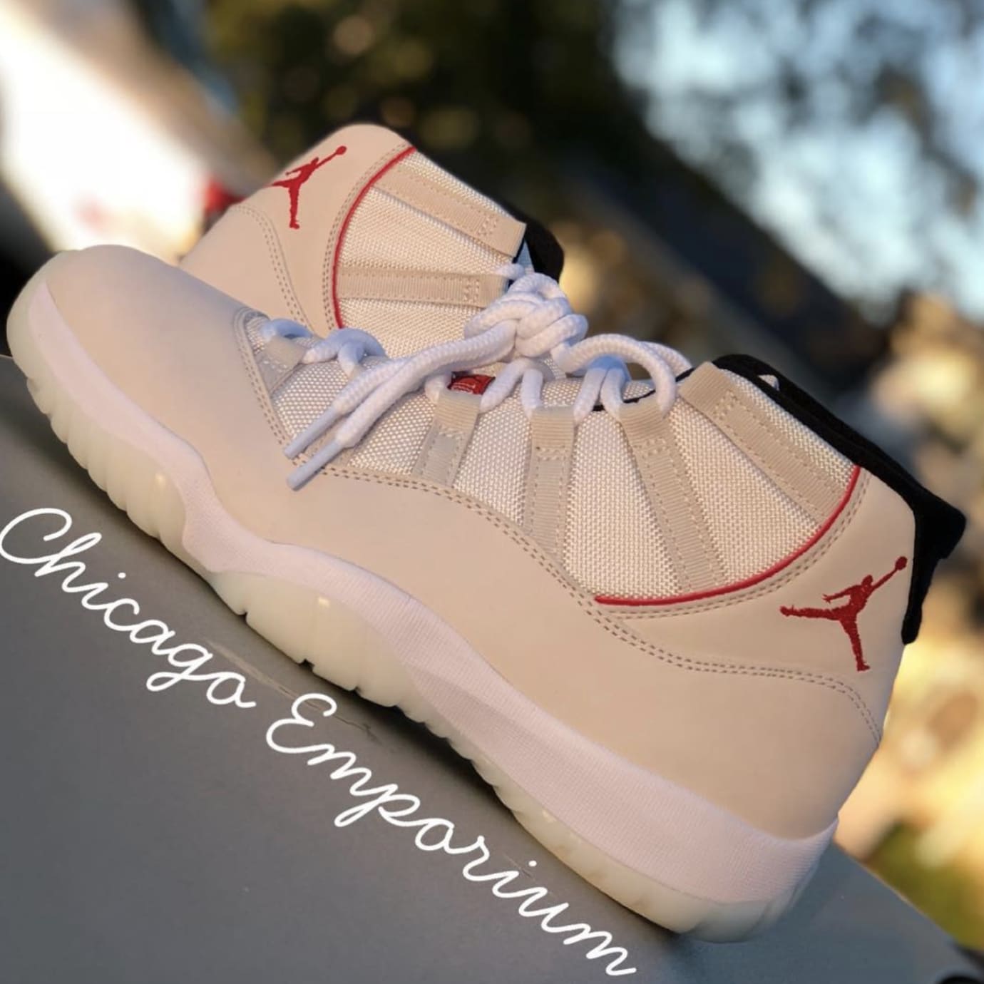 jordan retro 11 platinum red