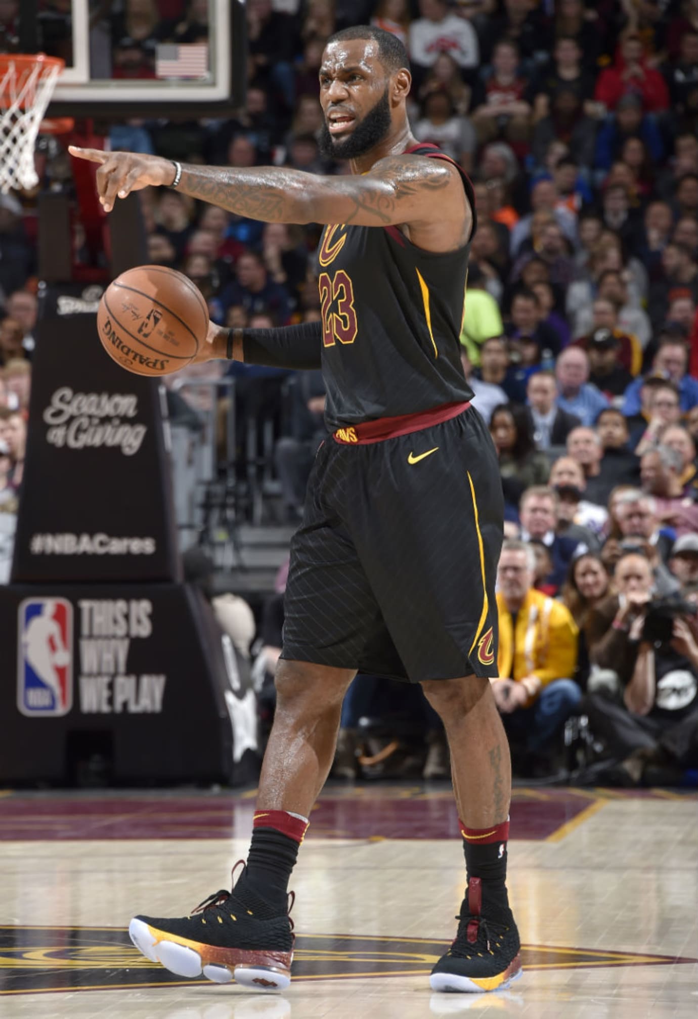 lebron james 15's