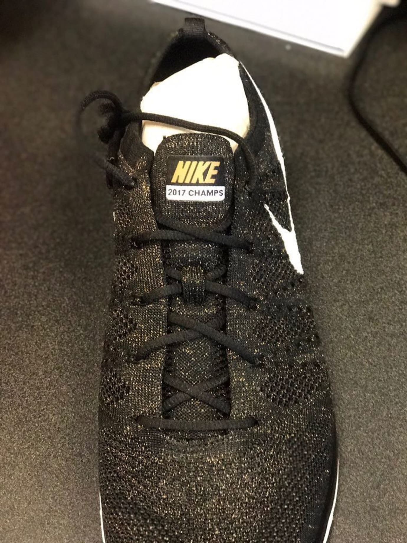 flyknit trainer raptors