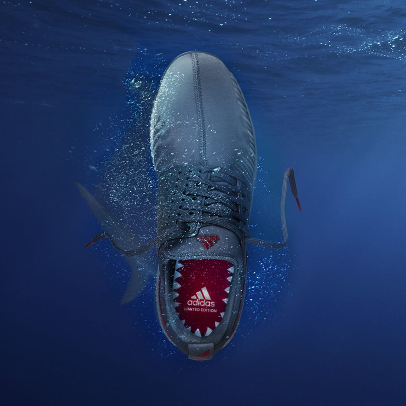 adidas shark shoes release date