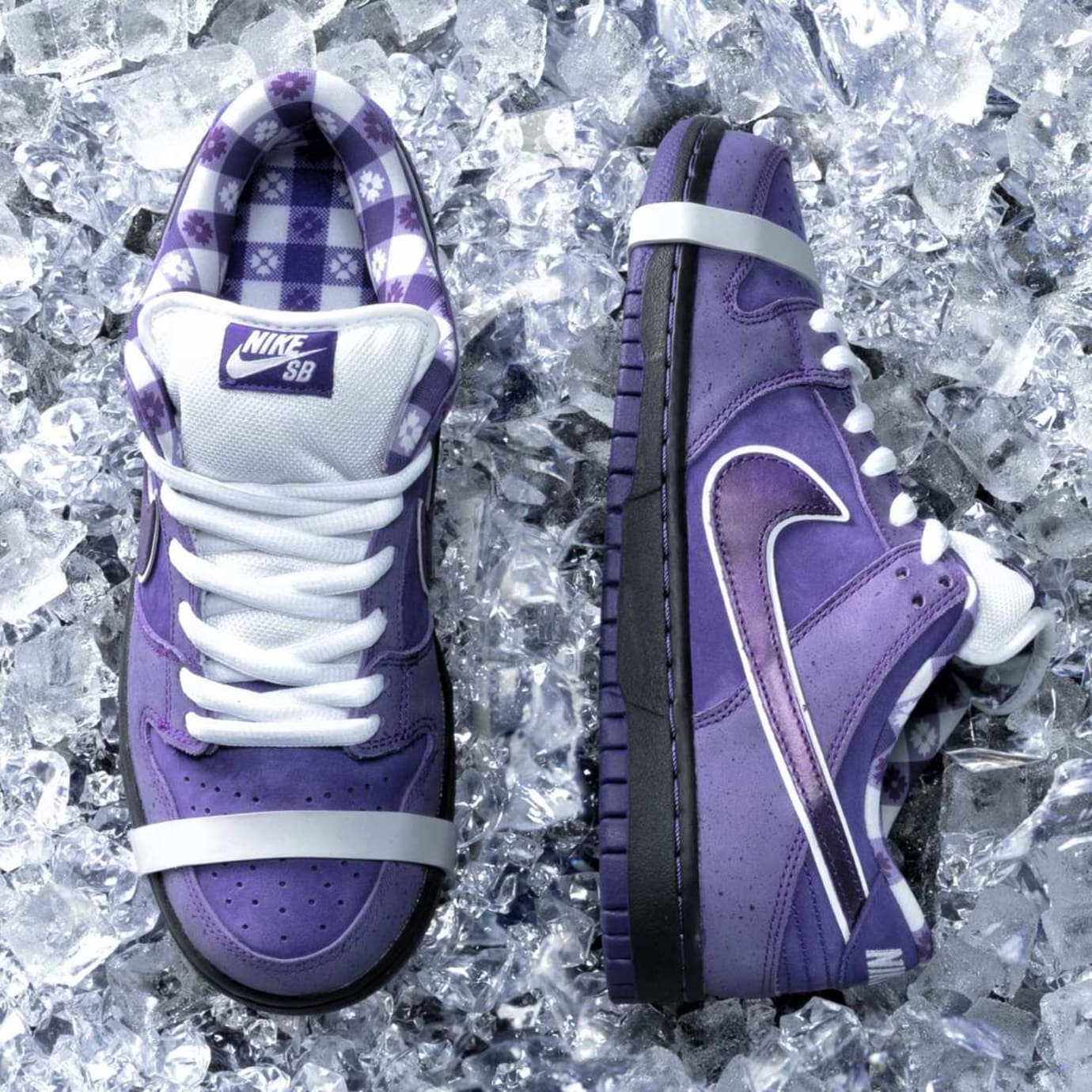 dunk sb purple lobster