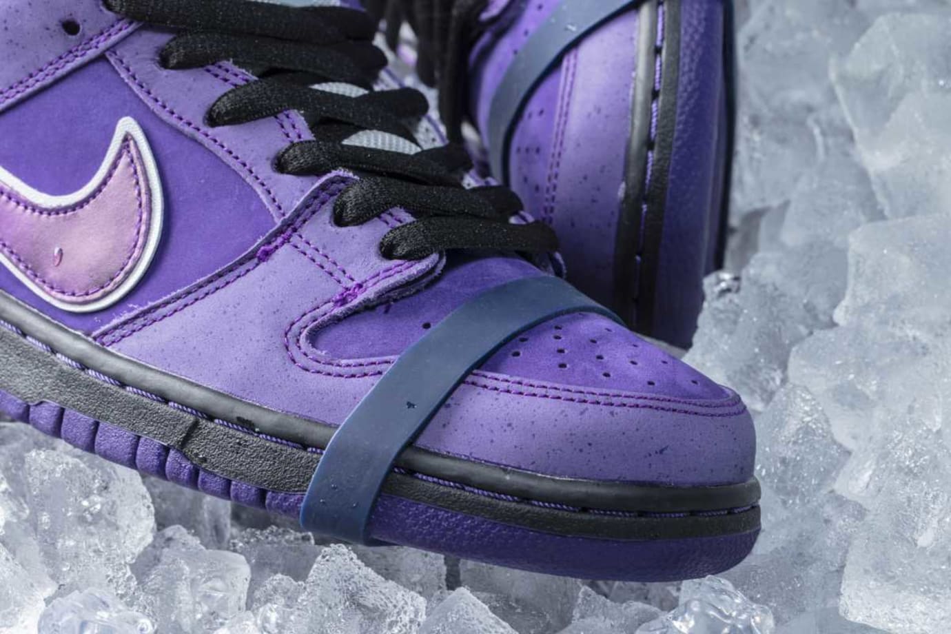 Esperar Fecha roja combustible Concepts x Nike SB Dunk 'Purple Lobster' Release Date | Sole Collector