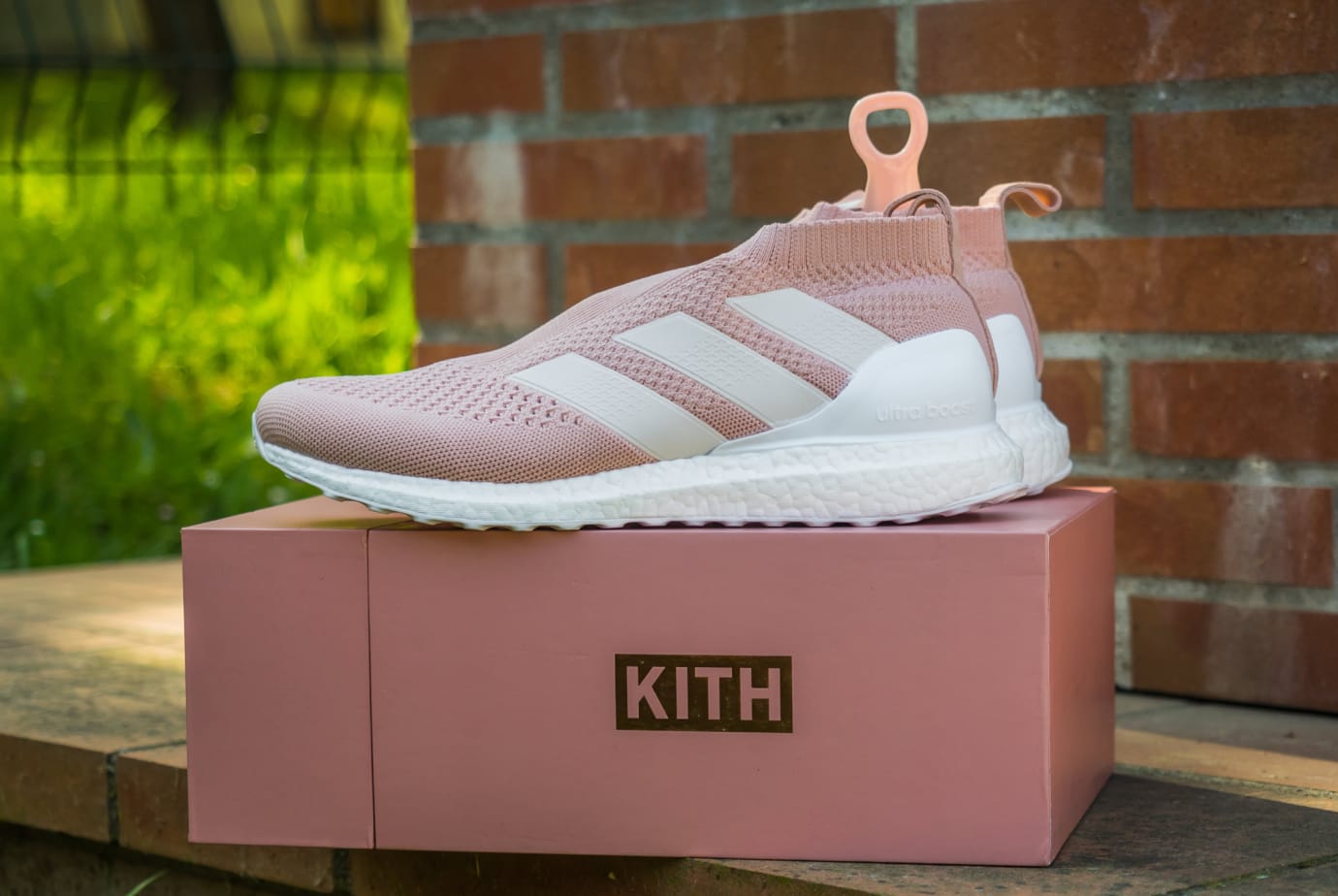 kith flamingo