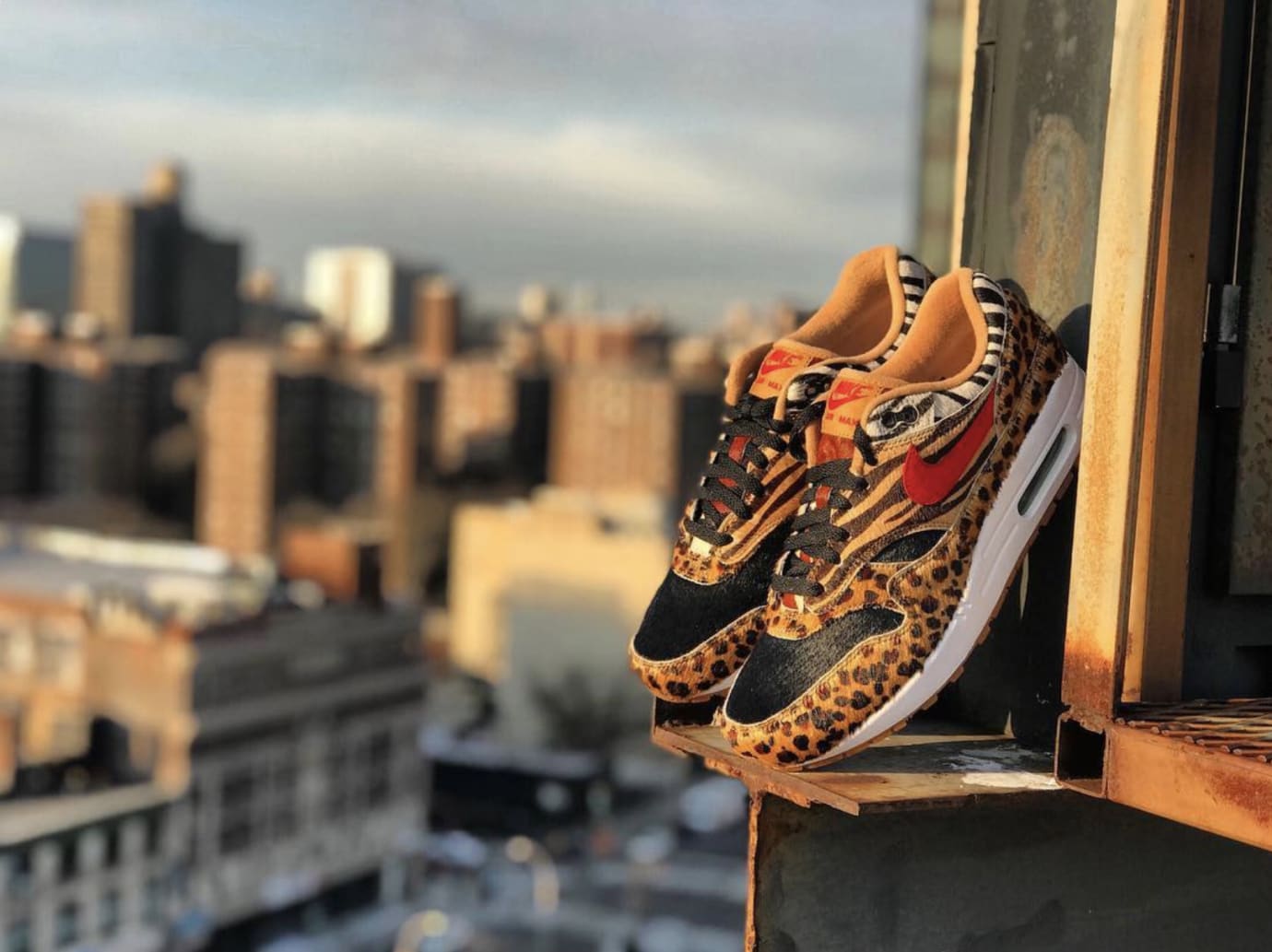 Atmos x Nike 'Animal' Pack SNKRS Reservation/NYC Release Date | Sole  Collector
