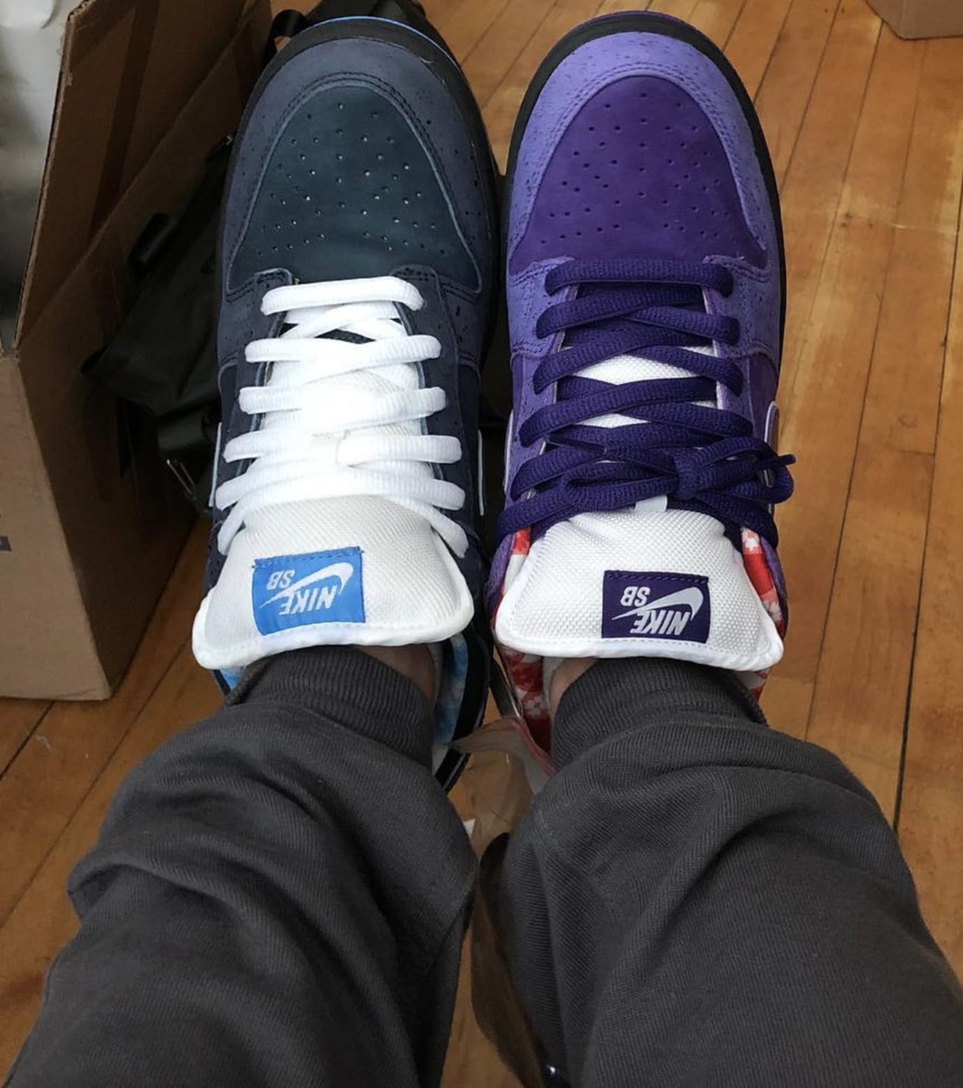 Purple lobster sb on feet discount